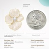 image:imageCicy Bell 18k Gold Plated Enamel Flower Earrings for WomenStyle Creamy White