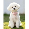 image:imageCicy Bell Breakaway Cat Collars with Bow and Bell Adjustable Safety BuckleBlack Pink
