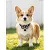 image:imageCicy Bell Breakaway Cat Collars with Bow and Bell Adjustable Safety BuckleBlack Pink