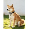 image:imageCicy Bell Breakaway Cat Collars with Bow and Bell Adjustable Safety BuckleBlack Pink