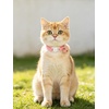 image:imageCicy Bell Breakaway Cat Collars with Bow and Bell Adjustable Safety BuckleFlower