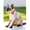 image:imageCicy Bell Breakaway Cat Collars with Bow and Bell Adjustable Safety BuckleLight Pink