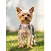 image:imageCicy Bell Breakaway Cat Collars with Bow and Bell Adjustable Safety BuckleLight Pink