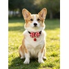 image:imageCicy Bell Breakaway Cat Collars with Bow and Bell Adjustable Safety BuckleRedGreen