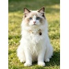 image:imageCicy Bell Breakaway Cat Collars with Bow and Bell Adjustable Safety BuckleWhiteBlue
