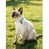 image:imageCicy Bell Breakaway Cat Collars with Bow and Bell Adjustable Safety BuckleWhiteBlue
