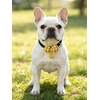 image:imageCicy Bell Breakaway Cat Collars with Bow and Bell Adjustable Safety BuckleYellowBlue