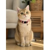 image:imageCicy Bell Dog Collars Breakaway Bow Tie Bell Kitten Bandana SetPeach Pink