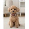 image:imageCicy Bell Dog Collars Breakaway Bow Tie Bell Kitten Bandana SetPink Plaid
