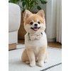 image:imageCicy Bell Dog Collars Breakaway Bow Tie Bell Kitten Bandana SetWhite Plaid