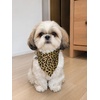 image:imageCicy Bell Dog Collars Breakaway Bow Tie Bell Kitten Bandana SetYellow Leopard Print