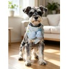 image:imageCicy Bell Cat Collars Breakaway with Bandana Accessories for Pet CollarsStyle A