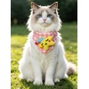 image:imageCicy Bell Cat Collars Breakaway with Bandana Accessories for Pet CollarsStyle B