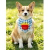 image:imageCicy Bell Cat Collars Breakaway with Bandana Accessories for Pet CollarsStyle B