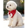 image:imageCicy Bell Cat Collars Breakaway with Bandana Accessories for Pet CollarsStyle C