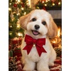 image:imageCicy Bell 2PCS Christmas Dog Collar Velvet Breakaway Bow Bell Cat Collar for PetRED 315x394inch