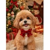image:imageCicy Bell 2PCS Christmas Dog Collar Velvet Breakaway Bow Bell Cat Collar for PetREDGREEN 276x276inch