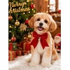 image:imageCicy Bell 2PCS Christmas Dog Collar Velvet Breakaway Bow Bell Cat Collar for PetREDGREEN 295374inch