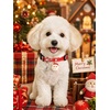 image:imageCicy Bell Christmas Dog Cat Collar Bell Bow Adjustable Holiday Pet CollarsRedGreen