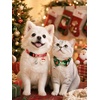 image:imageCicy Bell Christmas Dog Cat Collar Bell Bow Adjustable Holiday Pet CollarsRedGreen