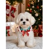 image:imageCicy Bell Christmas Dog Collar Cat Bandana Handmade Pet Scarf SetRedGreen