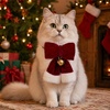 image:imageCicy Bell Christmas Velvet Pet Collar Breakaway with Bow Bell for Cats DogsMedium