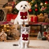 image:imageCicy Bell Christmas Velvet Pet Collar Breakaway with Bow Bell for Cats DogsSmall